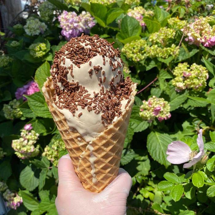 Dockside Ice Cream - South Dartmouth, MA