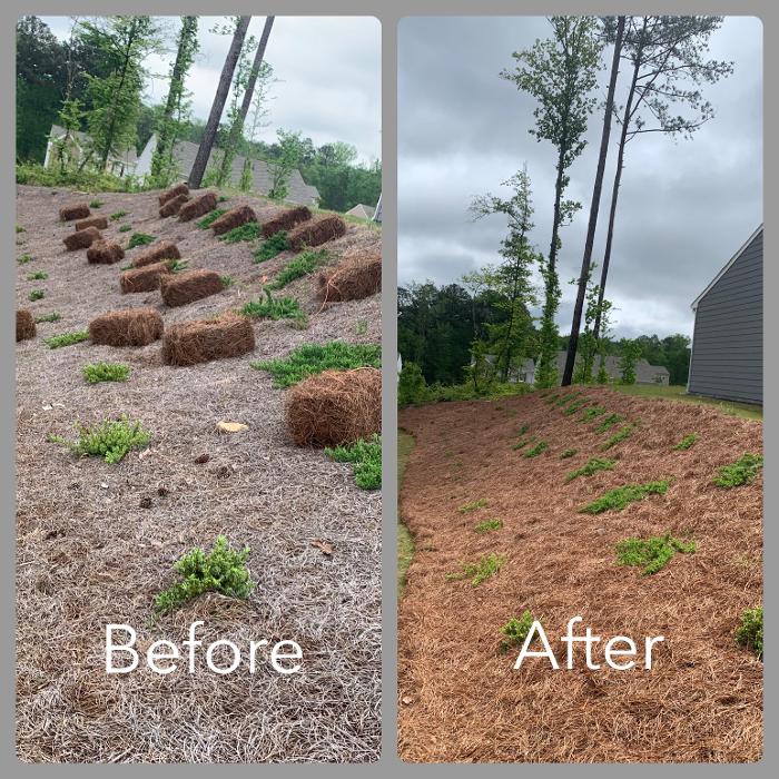Mowtown Lawn Care - Powder Springs, GA