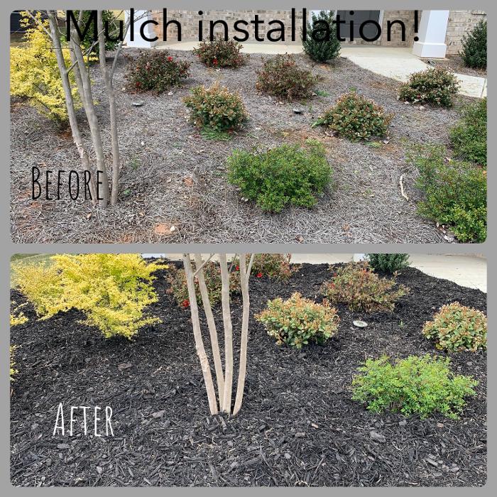Mowtown Lawn Care - Powder Springs, GA