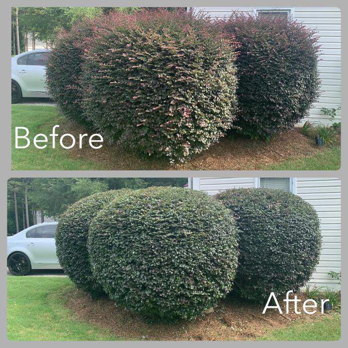 Mowtown Lawn Care - Powder Springs, GA