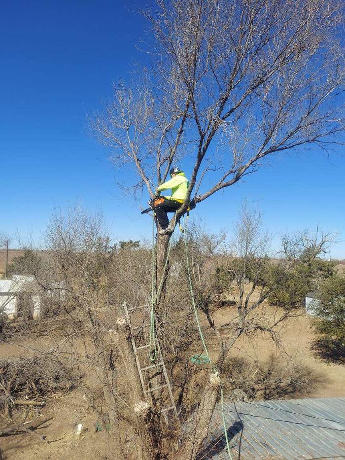 Kingdom Kutz Landscaping & Lawn Service - Lubbock, TX