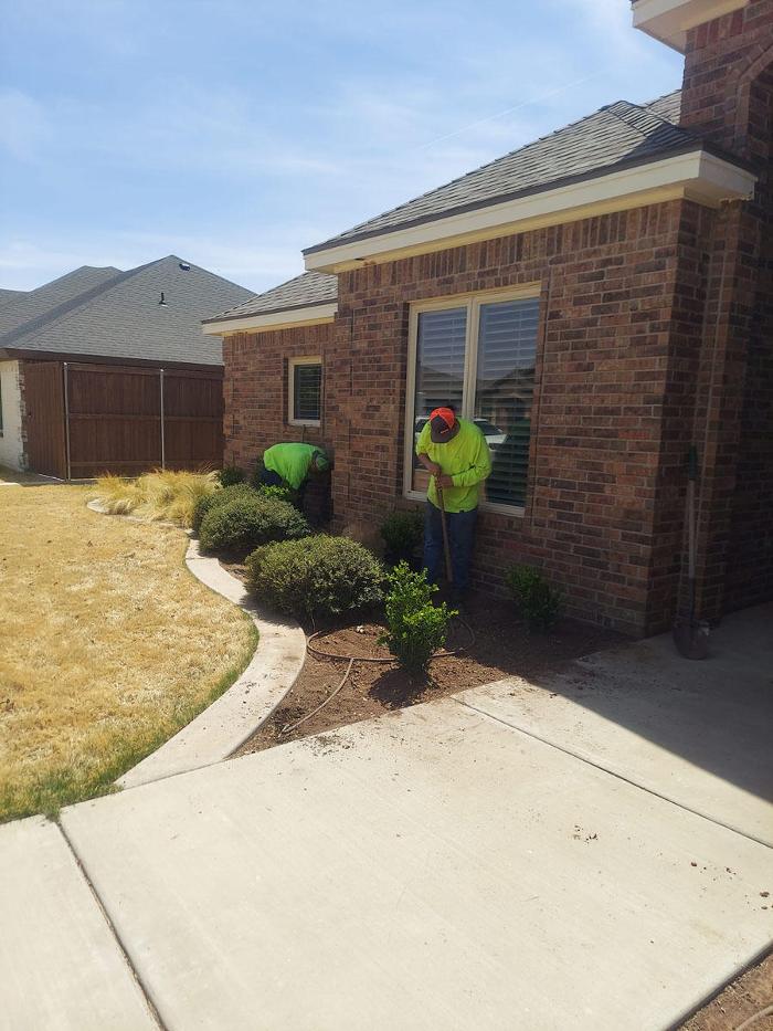 Kingdom Kutz Landscaping & Lawn Service - Lubbock, TX