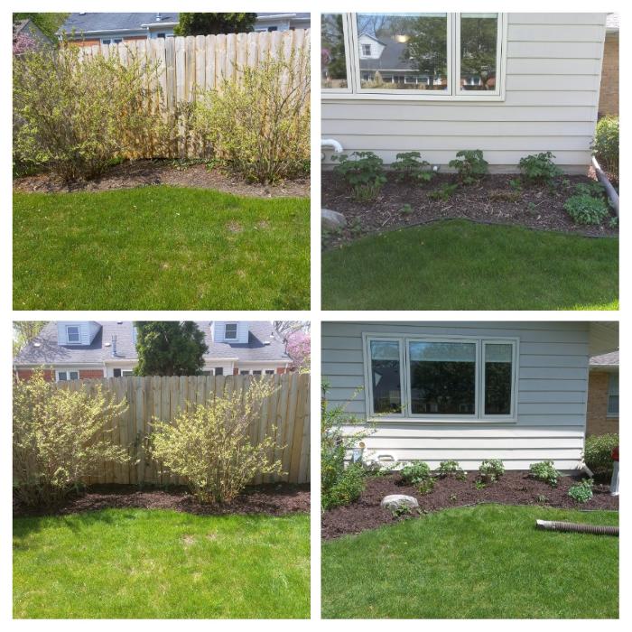 Zach of All Trades - Wyoming, MI