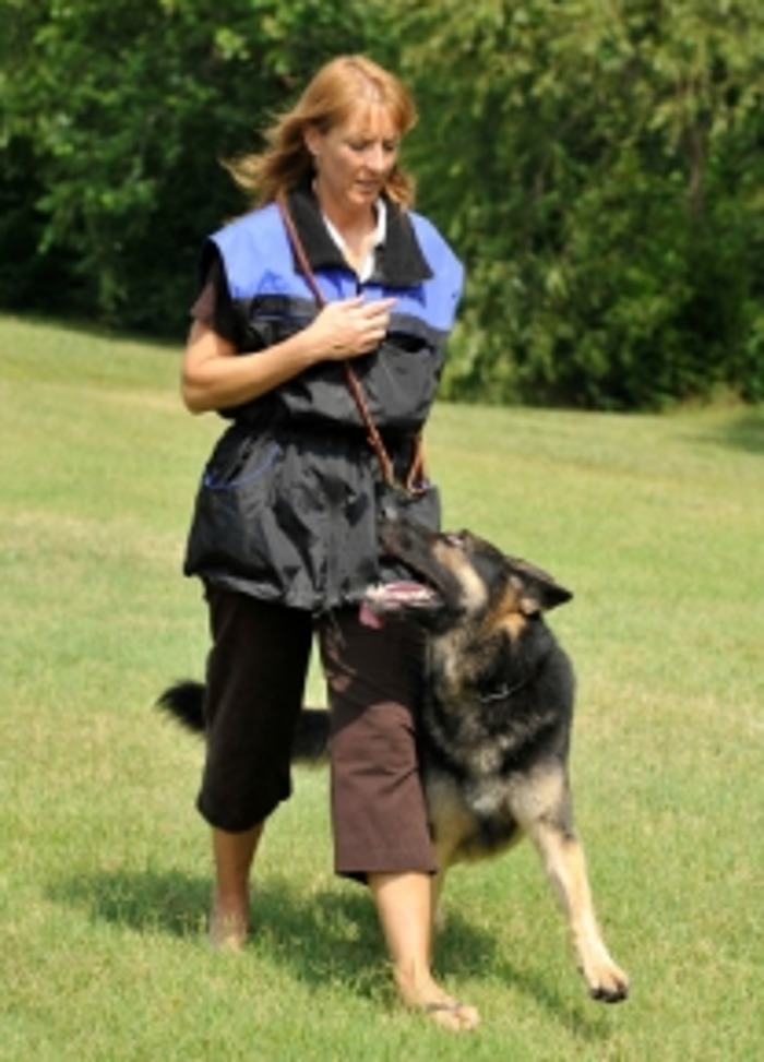 Citizen K9 Dog Training & Agility - Norfolk, VA