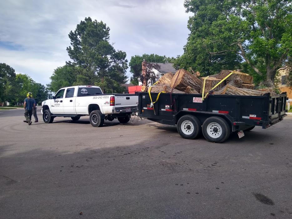 Rowan Tree Care - Littleton, CO