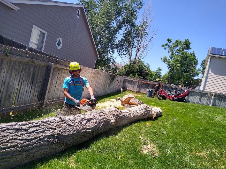 Rowan Tree Care - Littleton, CO