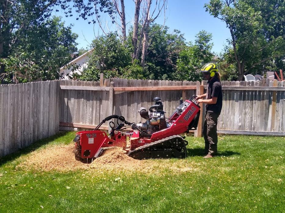Rowan Tree Care - Littleton, CO