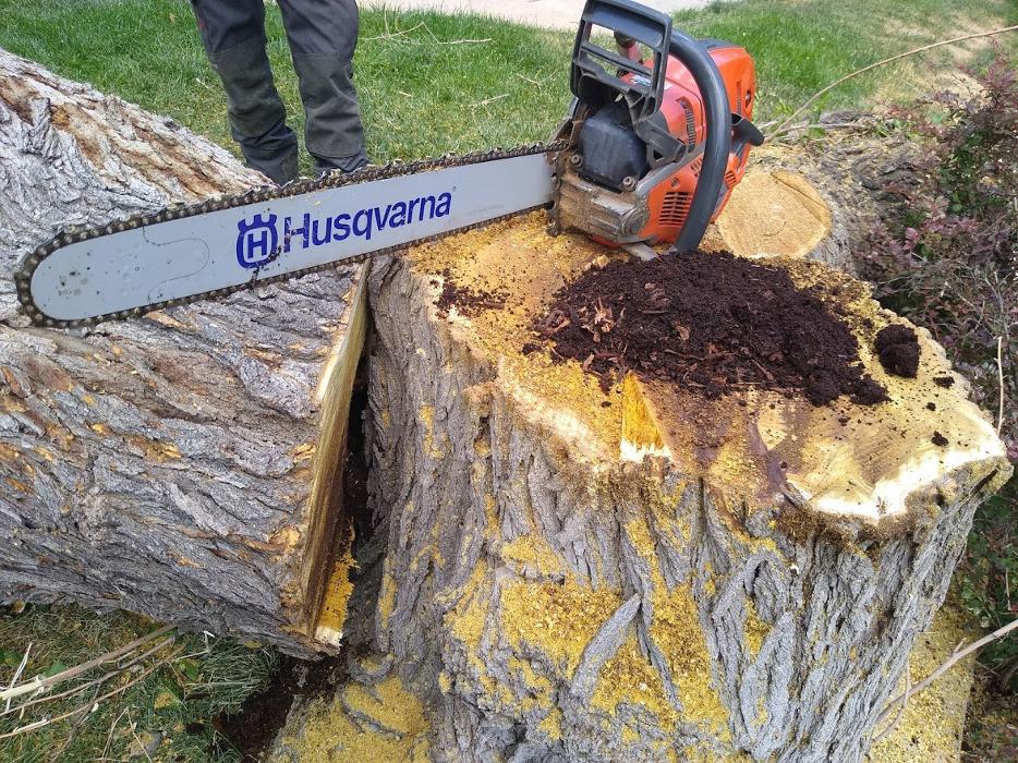 Rowan Tree Care - Littleton, CO