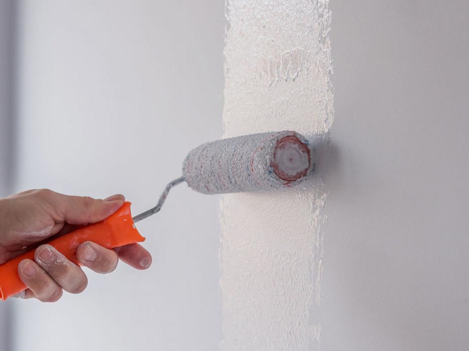 Luis Paint Coat - Plant City, FL