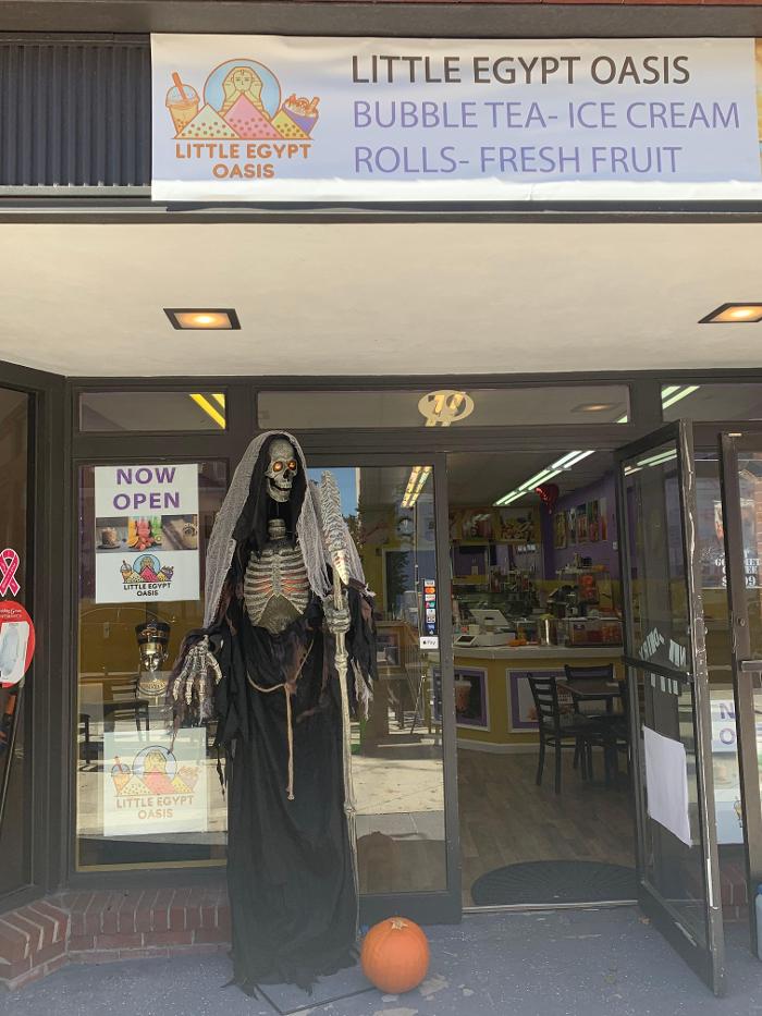 Little Egypt Oasis LLC - Flemington, NJ