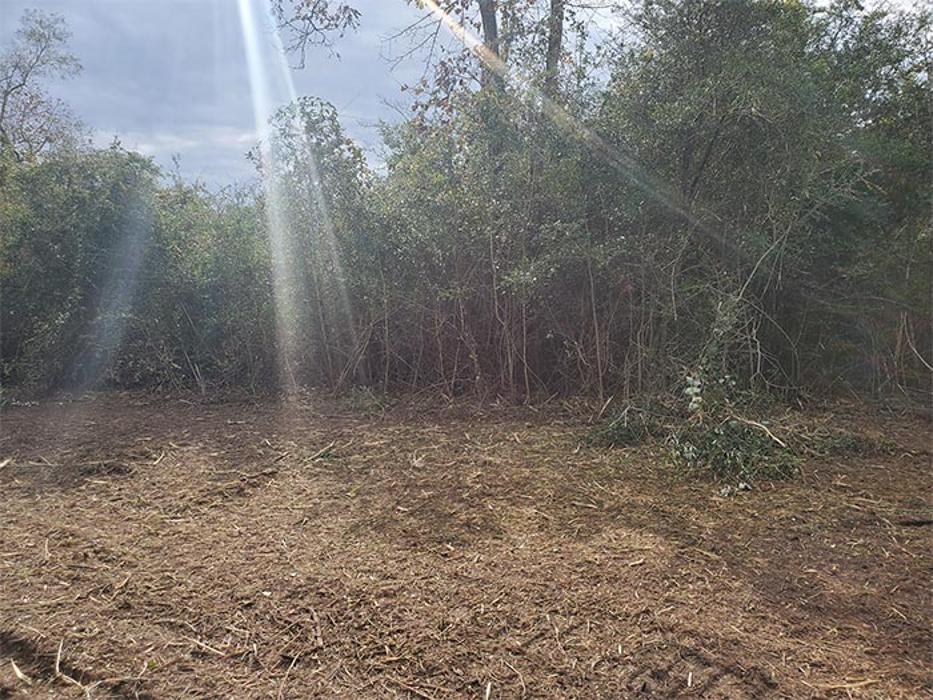 TMW Land Services - Willis, TX