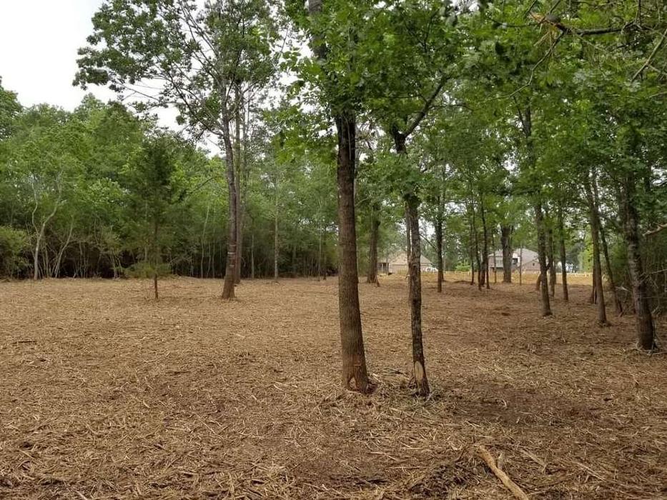 TMW Land Services - Willis, TX