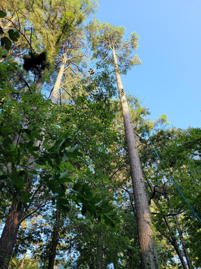 Merritt's Tree Service - Frankston, TX