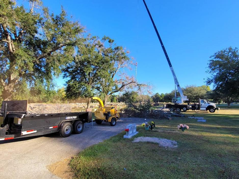 Merritt's Tree Service - Frankston, TX