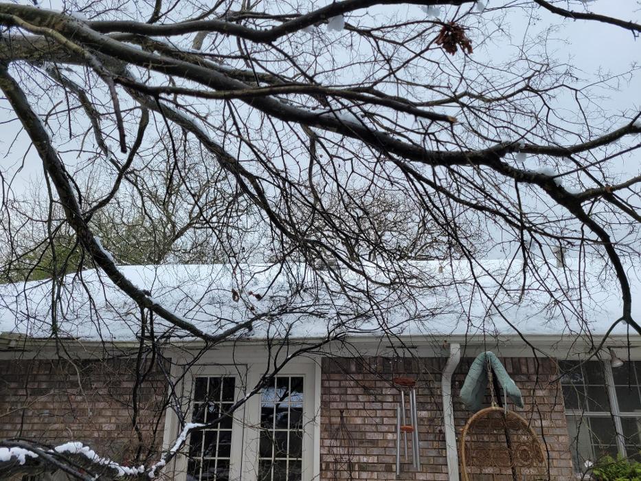 Merritt's Tree Service - Frankston, TX