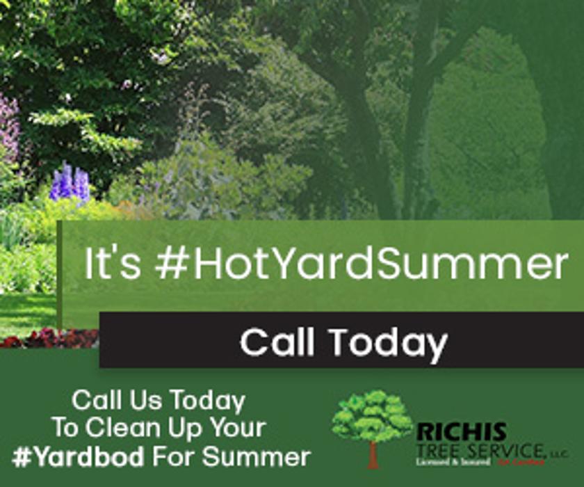 Richis Tree Service, LLC - Englewood, CO