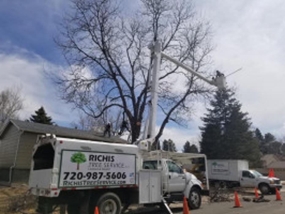 Richis Tree Service, LLC - Englewood, CO