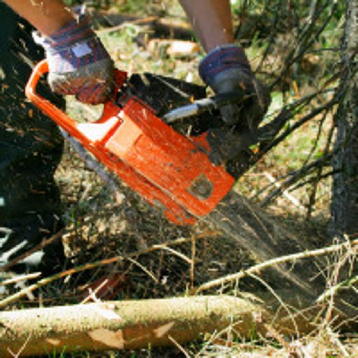 Richis Tree Service, LLC - Englewood, CO