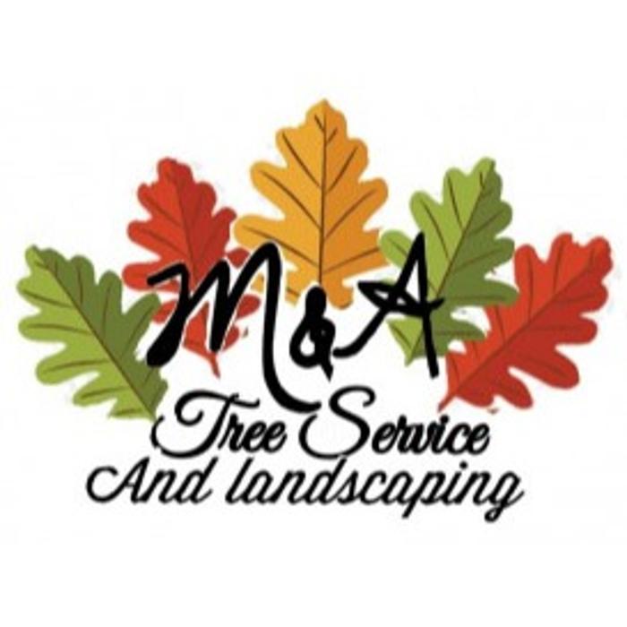 M&A Tree Service And Landscaping - Bellevue, NE