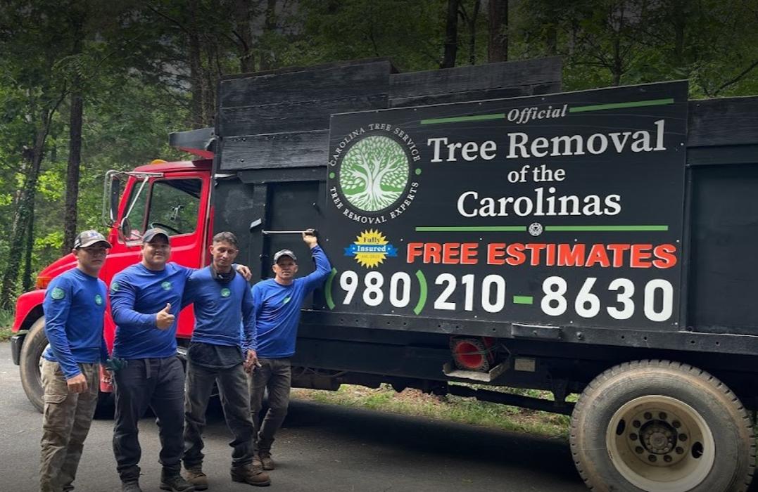Carolina Tree Service - Monroe, NC