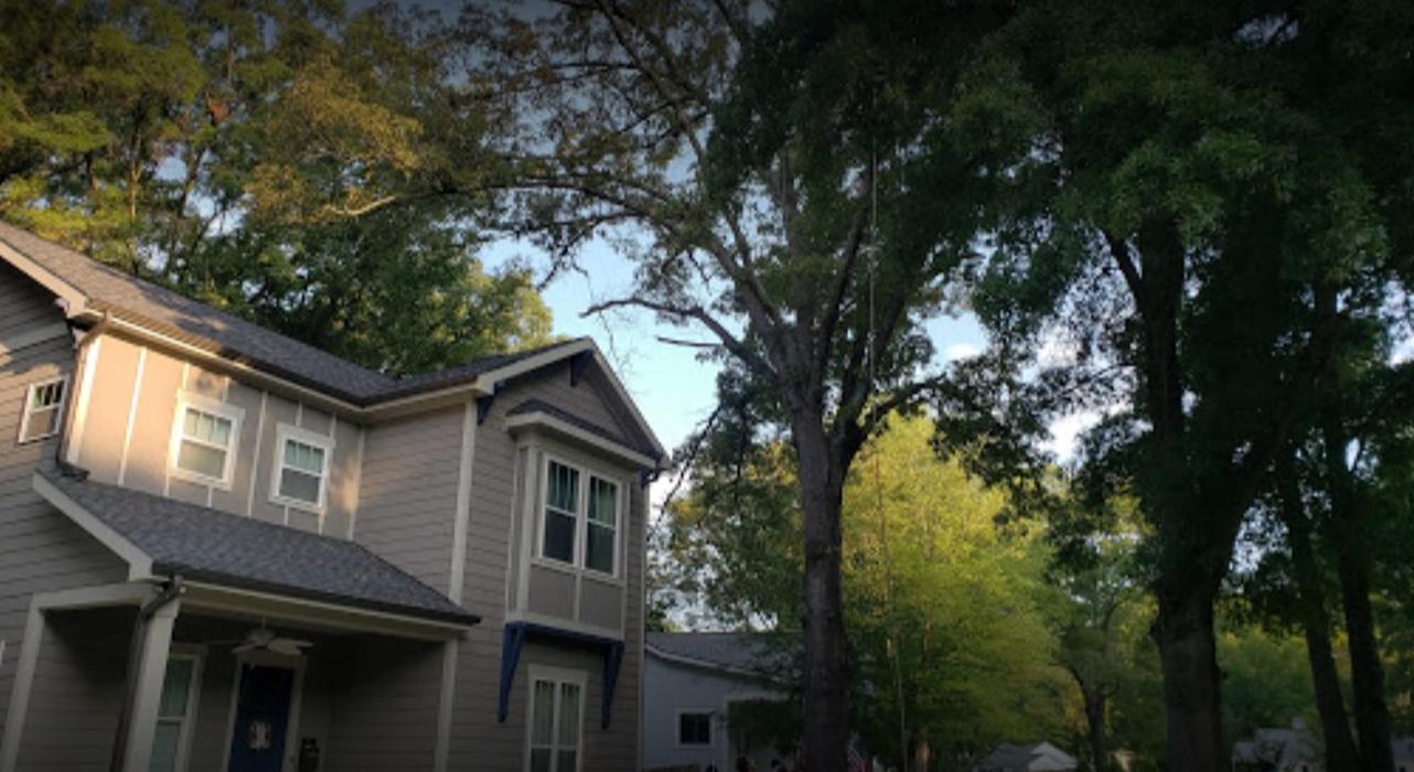 Carolina Tree Service - Monroe, NC