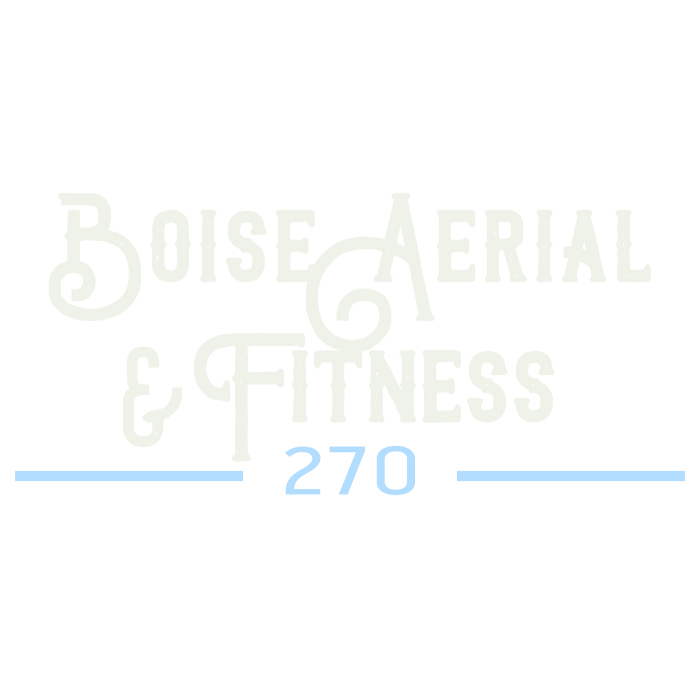 Boise Aerial and Fitness - Boise, ID