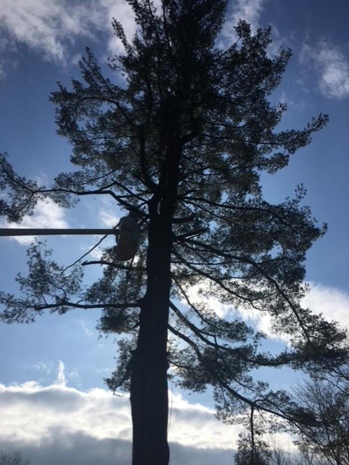 Mcculloch Property Maintenance LLC - Newtown, CT