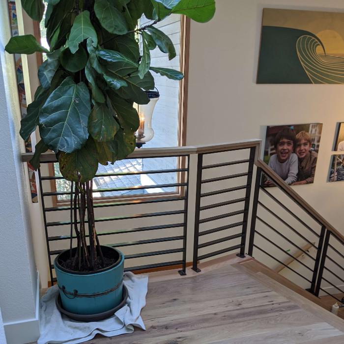 Olympic Stairs - Gig Harbor, WA