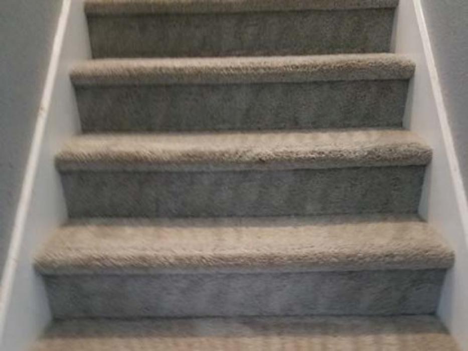 Amazing Carpet and Upholstery Cleaning - San Antonio, TX
