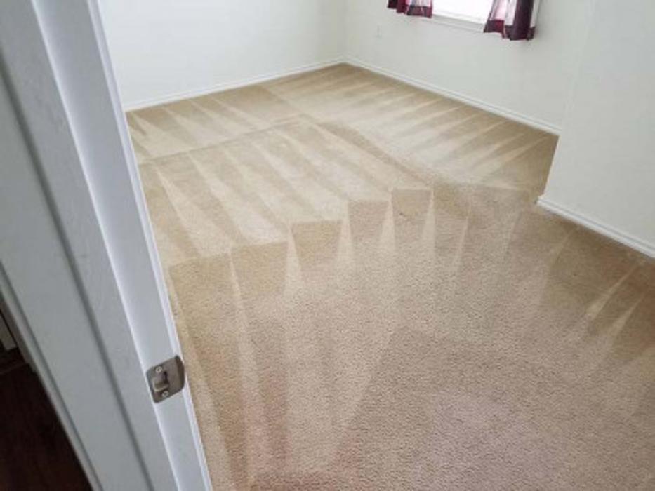 Amazing Carpet and Upholstery Cleaning - San Antonio, TX