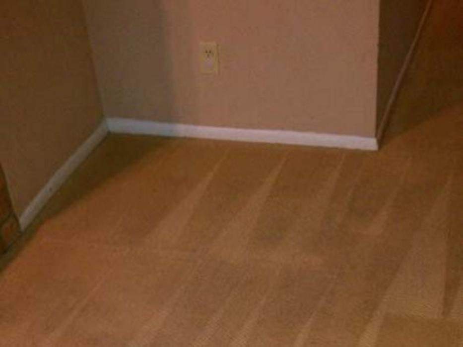 Amazing Carpet and Upholstery Cleaning - San Antonio, TX