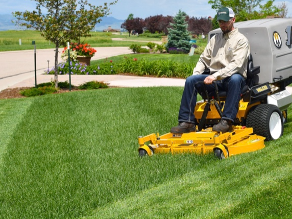 Pro Care Landscaping LLC - Flowery Branch, GA