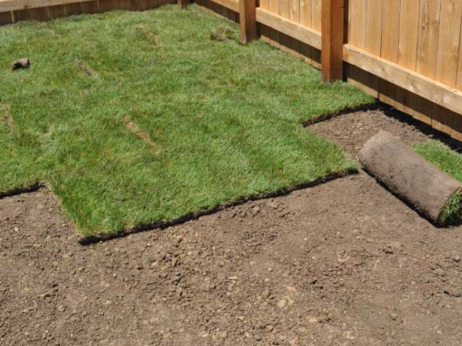 Pro Care Landscaping LLC - Flowery Branch, GA