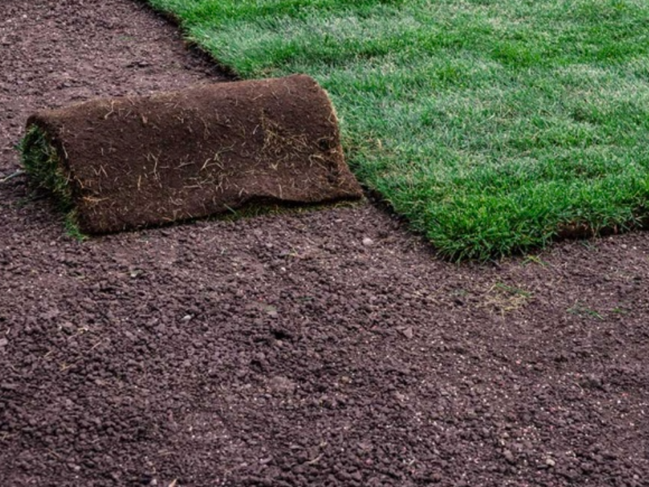 Pro Care Landscaping LLC - Flowery Branch, GA