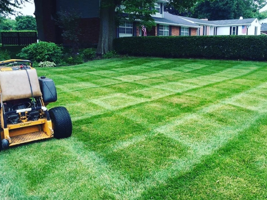 Pro Care Landscaping LLC - Flowery Branch, GA