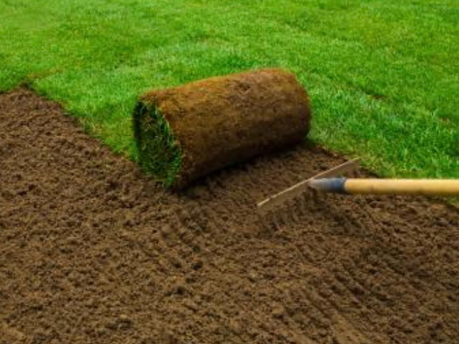 Pro Care Landscaping LLC - Flowery Branch, GA