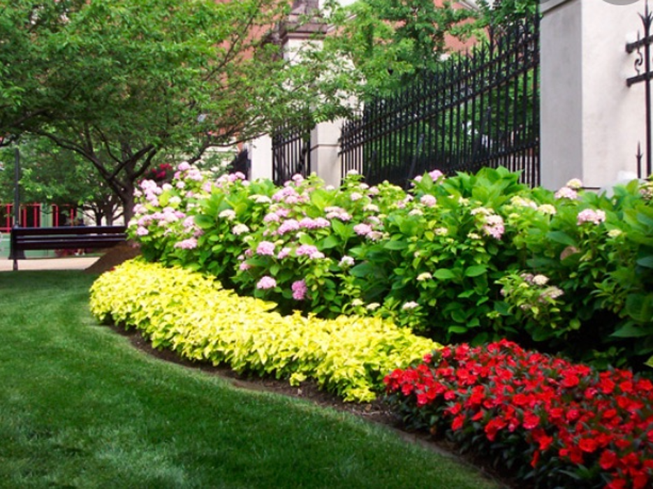 Pro Care Landscaping LLC - Flowery Branch, GA