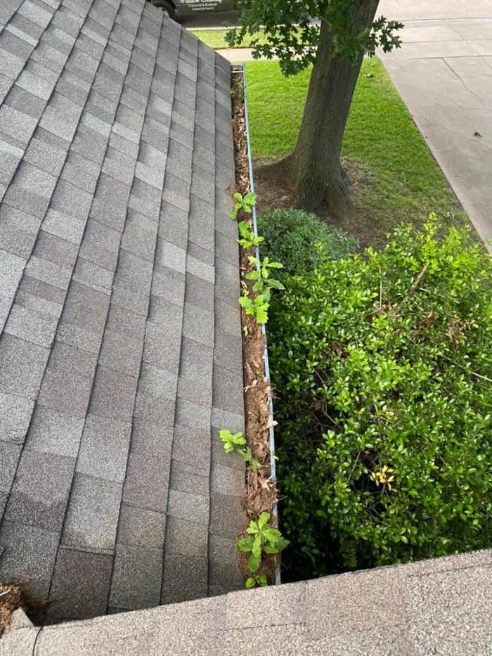 JJC Window Cleaning - Royse City, TX