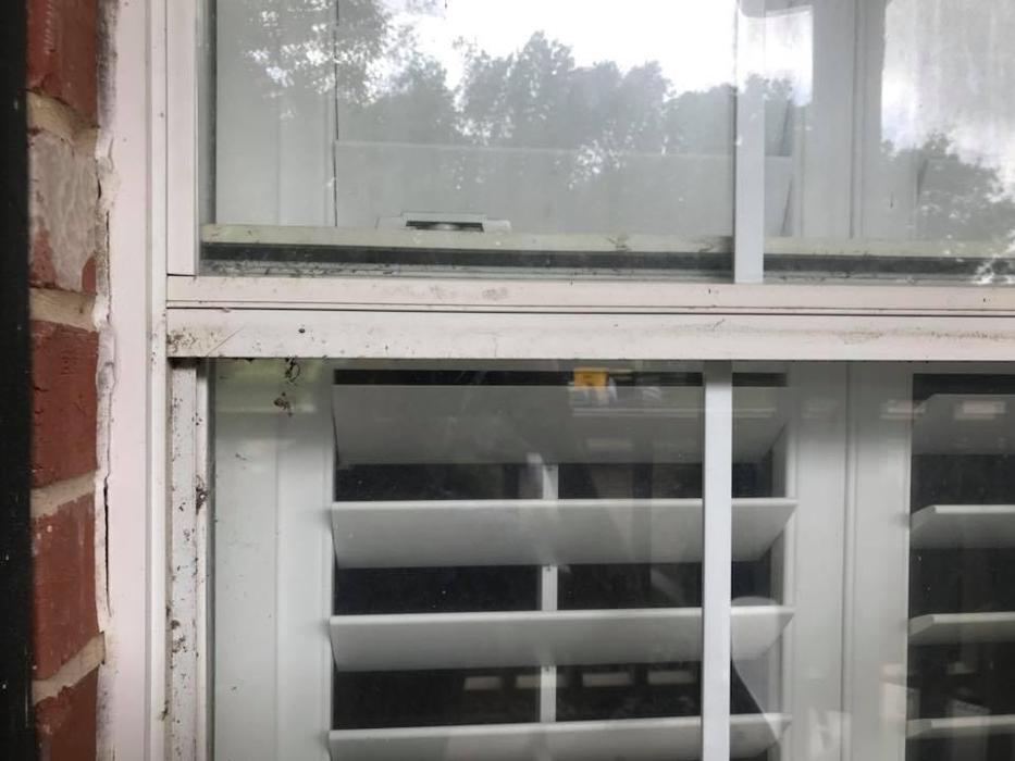 JJC Window Cleaning - Royse City, TX