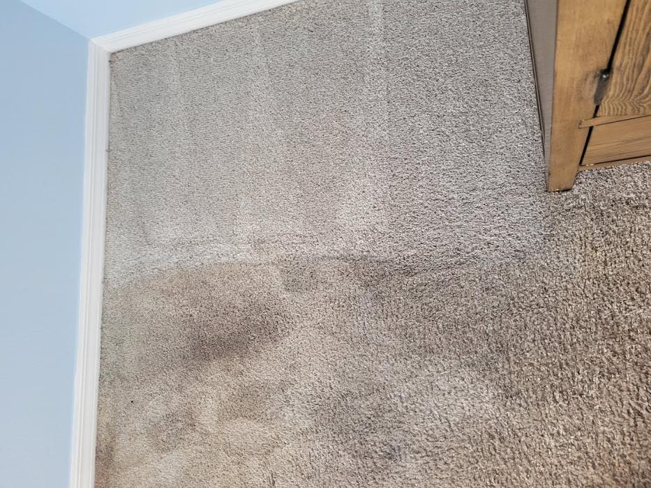 E S B Carpet and Tile Cleaning, LLC - Riverview, FL