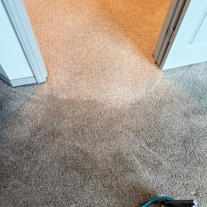 E S B Carpet and Tile Cleaning, LLC - Riverview, FL