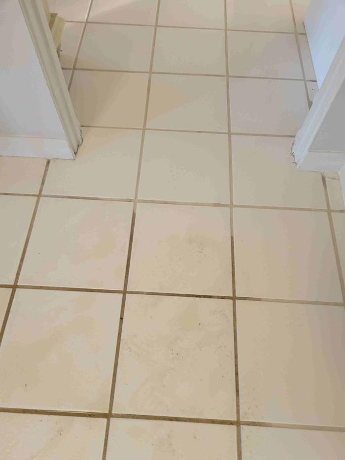 E S B Carpet and Tile Cleaning, LLC - Riverview, FL