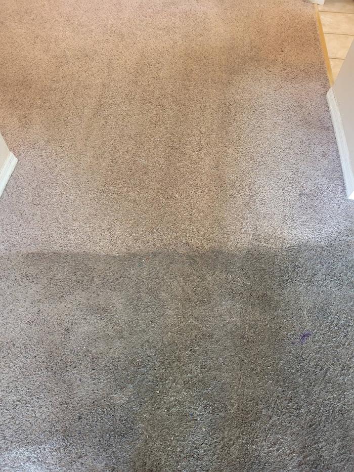 E S B Carpet and Tile Cleaning, LLC - Riverview, FL