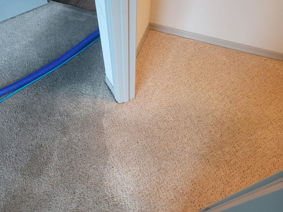 E S B Carpet and Tile Cleaning, LLC - Riverview, FL