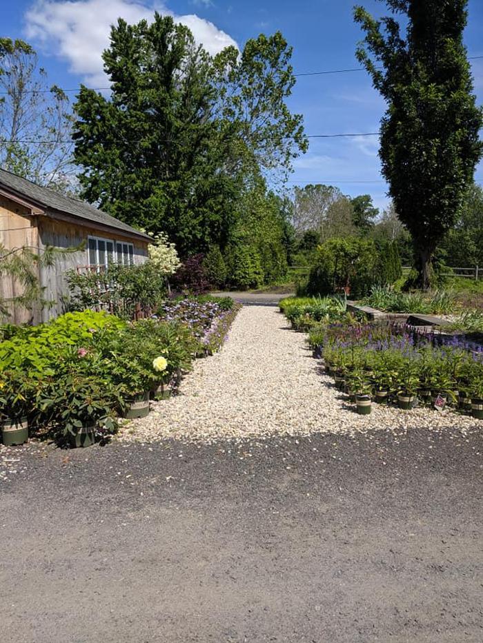 Young's at Three Rivers - Woodbury, CT