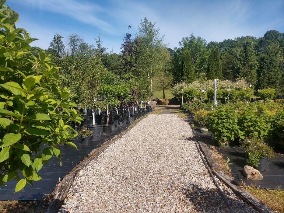 Young's at Three Rivers - Woodbury, CT