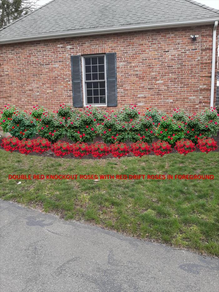 Young's at Three Rivers - Woodbury, CT