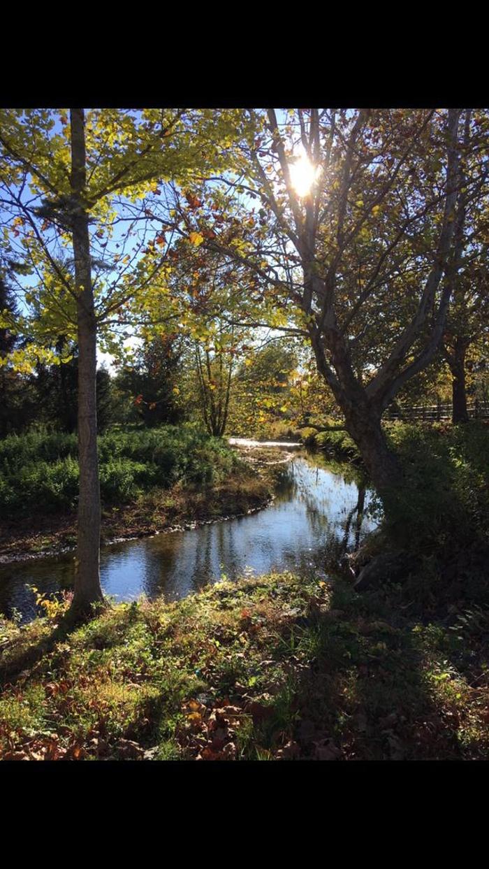 Young's at Three Rivers - Woodbury, CT