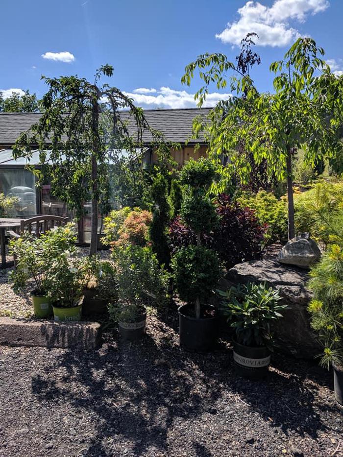 Young's at Three Rivers - Woodbury, CT