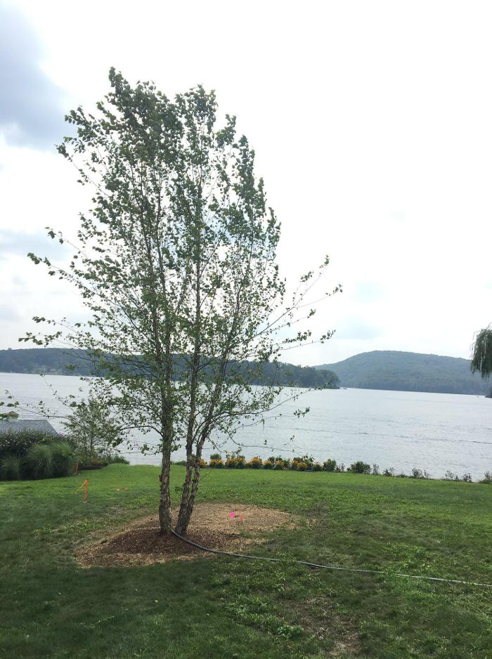 Young's at Three Rivers - Woodbury, CT